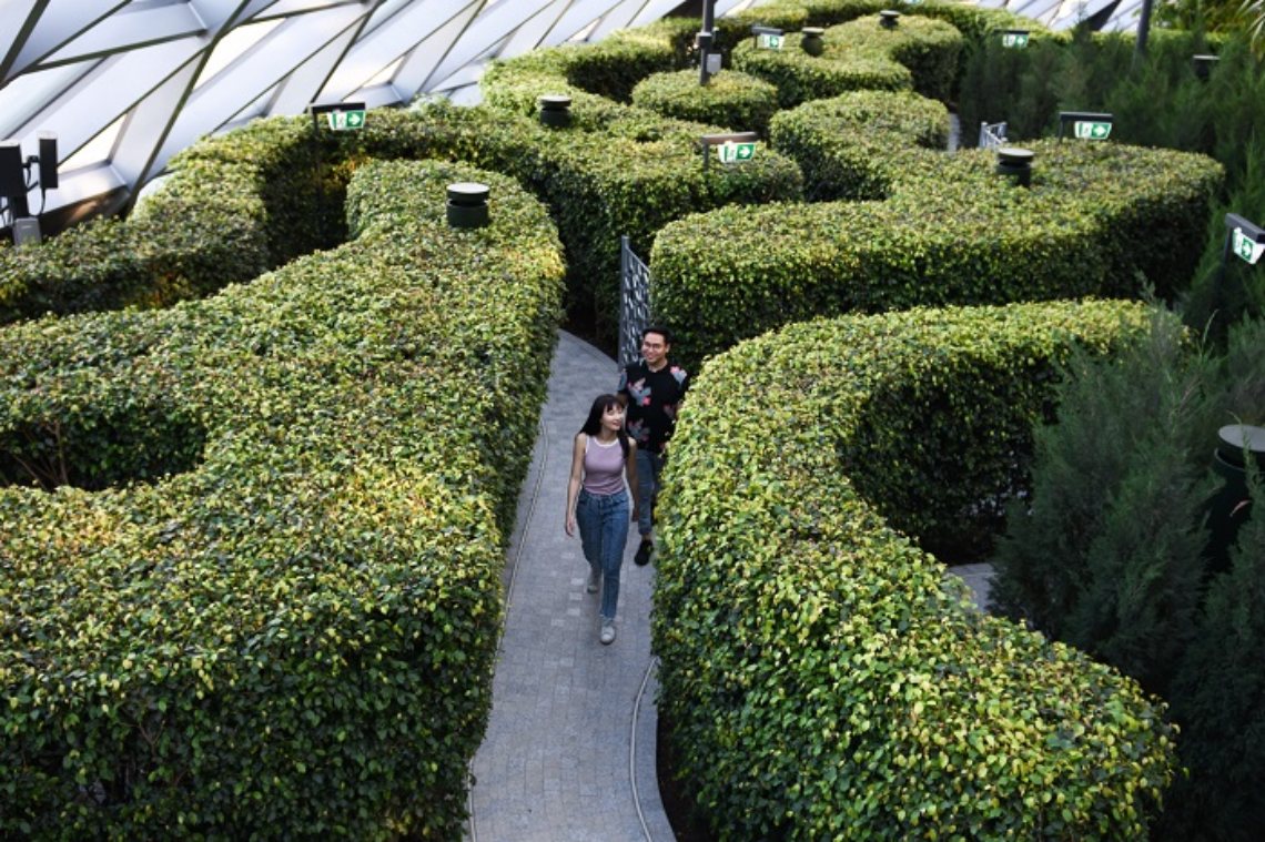 the hedge maze at the canopy park at jewel changi